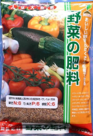 eco&ecoウインプランター深55型ゴーヤ栽培緑のカーテンセット【楽天ランキング入賞商品】05P05Apr14M【RCP】