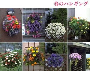 スリットバスケットSLT-25用植え替えスポンジお買い得5袋セット