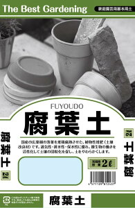 tyit100j@2L yPpy |{yz