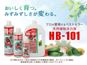 HB101-1L