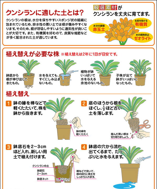 楽天市場 クンシランの土12l 園芸 培養土 土 ガーデニング よろずや倉庫