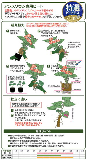 楽天市場 アンスリウムの土５l 園芸 培養土 土 ガーデニング 家庭菜園 よろずや倉庫