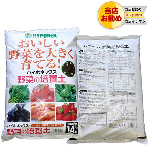 nC|lbNX؂̔|{y14L y| |{y y K[fjO ƒ؉ ؁z