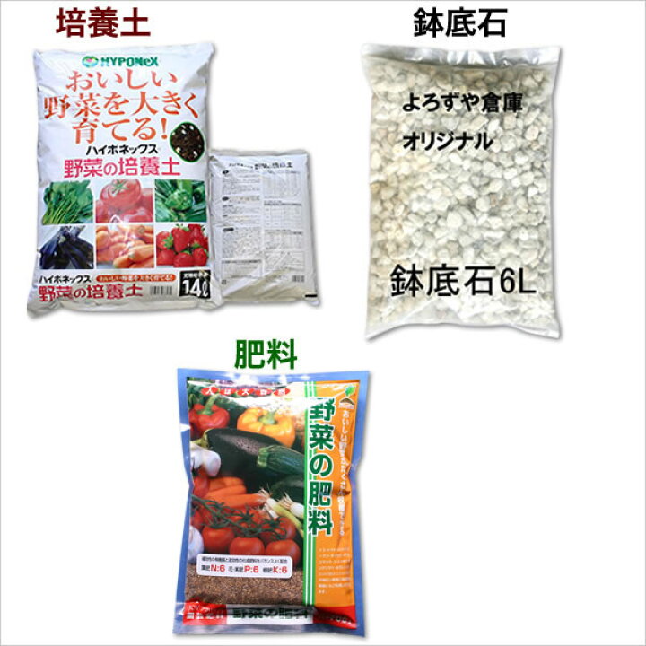 エコプランター ２個セット 深55型 グリーン 送料込 定番のお歳暮 冬ギフト