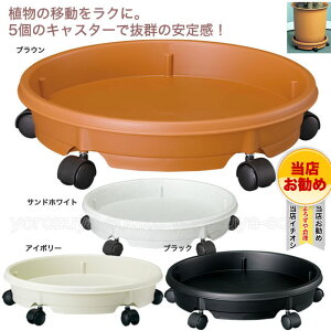 LX^[v[g@28^y󂯎MzyM LX^[tz