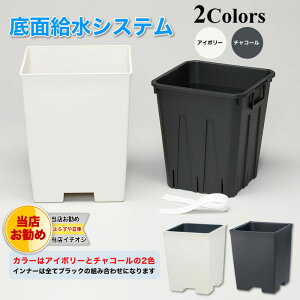 【12/810:00〜11日9:59ポイント19倍】底面潅水システムラクアインナーポットセット310型【SALE/セール】