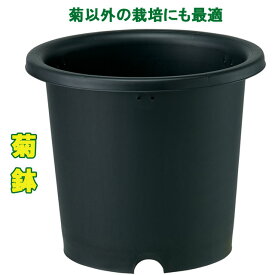 菊鉢10号(P10)/ポット 鉢 プラスチック おしゃれ