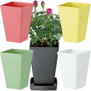 NG`nC|bg@5@5Zbg(P5)/P5yz|bgE vX`bN K[fjO 