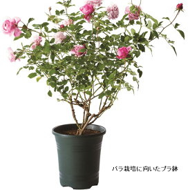 楽天市場 バラ 植木鉢 プランターカバー 植木鉢 プランター ガーデニング 農業 花 ガーデン Diyの通販