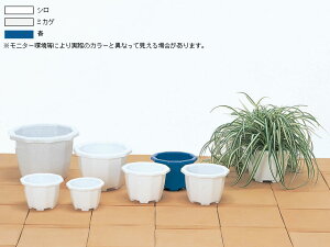 @8@2Zbg/P8yz|bgE vX`bN 