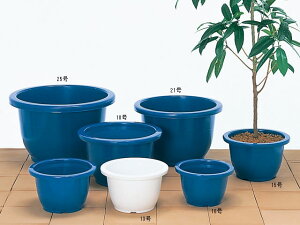 񔫁@13(P15)/P12yz|bgE vX`bN 