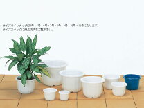 楽天市場】9号 ポット（メーカー大和プラスチック）（植木鉢 