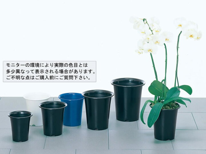楽天市場】洋ラン鉢5号/P5【長鉢】ポット・鉢 プラスチック おしゃれ 