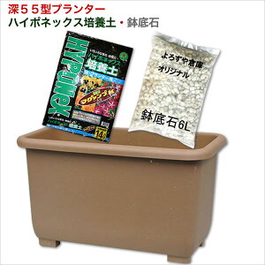 GRGRECv^[[55^ nC|lbNX|{yE΃Zbg