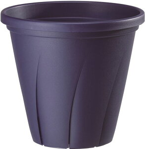 ͂蔫 4@5ZbglCr[(P4)/|bgEy |bg ͔| Xbg ^l vX`bN z