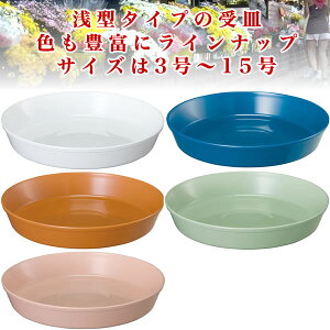 鉢 12号 鉢皿の人気商品 通販 価格比較 価格 Com