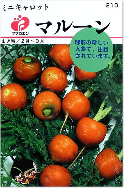 楽天市場 フクカエン ミニキャロット マルーンの種 タネ メール便ok 野菜のタネ よろずや倉庫