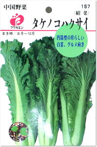 フクカエン 中華野菜 タケノコハクサイの種(タネ)【メール便OK】【野菜のタネ】