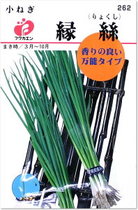 tNJG ˂@Ni傭j̎i^ljy[OKzy؂̃^lz