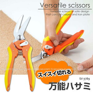 \nT~[SV-3789]