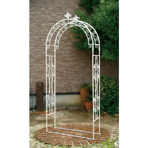 [YA[` TKRA-M150WzCg K[fA[` yo@o@co Q[g A[` ACA K[fA[`z