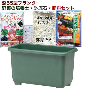 ガーデニング用品 緑のカーテン 鉢の人気商品 通販 価格比較 価格 Com