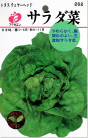 レタス・サラダ菜の種（タネ）【メール便OK】