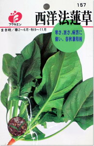 �ق���񂻂��E���m�@�@���̎�i�^�l�j�y���[����OK�z