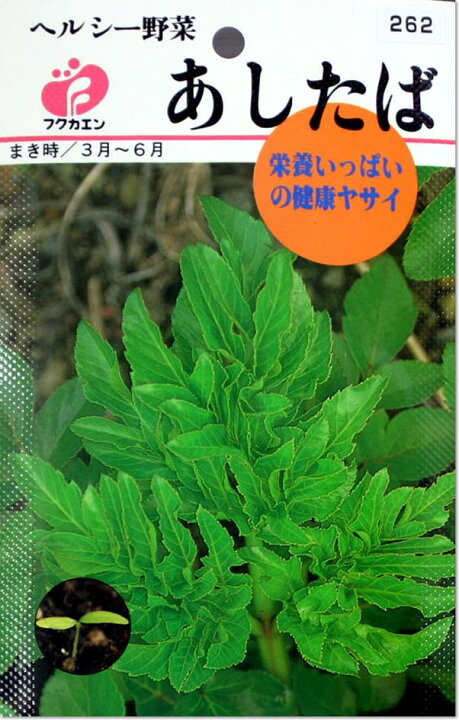 楽天市場 あしたばの種 タネ メール便ok よろずや倉庫