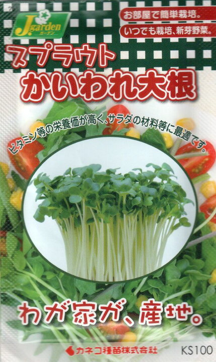 楽天市場 カネコ スプラウト かいわれ大根の種 タネ メール便ok よろずや倉庫