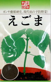 楽天市場 えごま 苗の通販