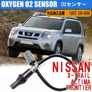 y11/1_tf[P5{Iz X-TRAIL T31 GNXgC O2ZT[ AeB} teBA 234-9038 ILVWFZT[ _ZT[ I[c[ZT[ ILVQZT[ R 