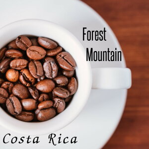 I[_[ R[q[ 2kg  RX^J tHXg}Ee QO[h XyVeBR[q[ VOIW