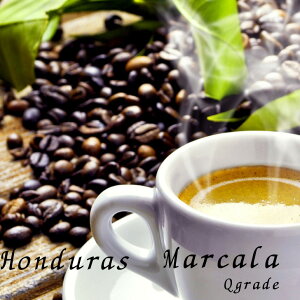 I[_[ R[q[ 2kg  zWX }J EIbVh L@͔| QO[h XyVeBR[q[ VOIW