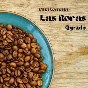 I[_[ R[q[ 2kg  L@͔| O@e} XEX QO[h XyVeBR[q[