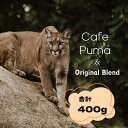 お試し！ 2種詰め合わせ 400g (生豆時) グァテマラ カフェプーマ オリジナルブレンド オーダー焙煎 スペシャリティコーヒー シングルオリジン