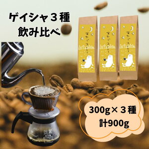  QCV3ݔ 300gx3 v900g  R[q[ @