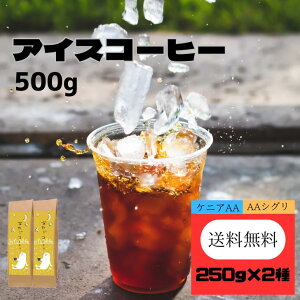 送料無料 アイスコーヒーセット 500g(生豆時) コーヒー福袋