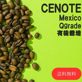 オーダー焙煎 コーヒー豆 送料無料 メキシコ セノーテ 有機栽培 Qグレード スペシャリティコーヒー シングルオリジン