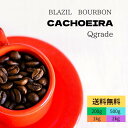 オーダー焙煎 コーヒー豆 ブラジル ブルボン カショエイラ農園 Qグレード セミウオッシュド スペシャリティコーヒー 送料無料 自家焙煎 即日発送