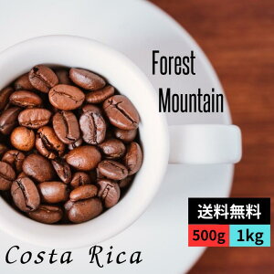 R[q[ RX^J tHXg}Ee QO[h XyVeBR[q[ VOIW