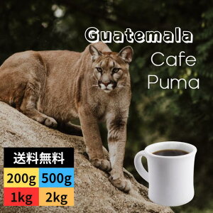 I[_[R[q[ O@e} JtFv[} XyVeBR[q[ VOIW