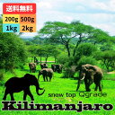 オーダー焙煎 コーヒー豆 タンザニア キリマンジャロ AA スノートップ Qグレード スペシャリティコーヒー シングルオリジン 送料無料 自家焙煎