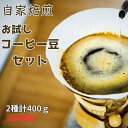 自家焙煎 お試しコーヒー豆 セット2種400g 送料無料 50年の歴史 あたごコーヒー