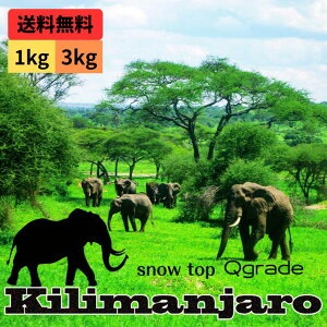 R[q[ ^UjA L}W AA Xm[gbv QO[h XyVeBR[q[  