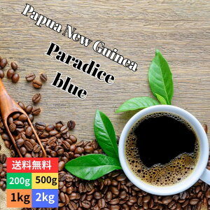 dẴR[q[𑦓 pvAj[MjA p_CXu[   VOIW XyVeBR[q[