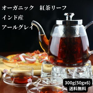 ʁI I[KjbN Chg[t300gi50gx6jA[OC @ g Mtg