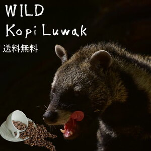 RsAbN WRElR R[q[ 100g Mtgɂ I[_[  ؔ