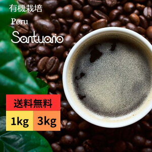 R[q[  QO[h y[ T`AI AvJV L@͔| XyVeBR[q[ 