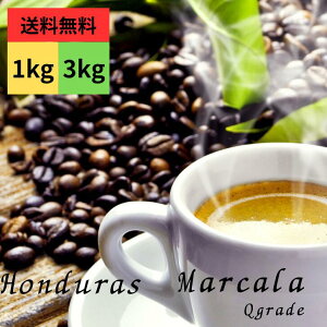 R[q[ zWX }J EIbVh L@͔| QO[h XyVeBR[q[